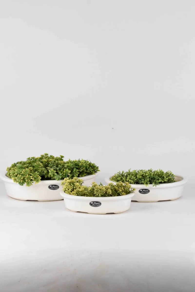 Classic Ceramic Planter — 4" Dia × 4" Height — Primary View