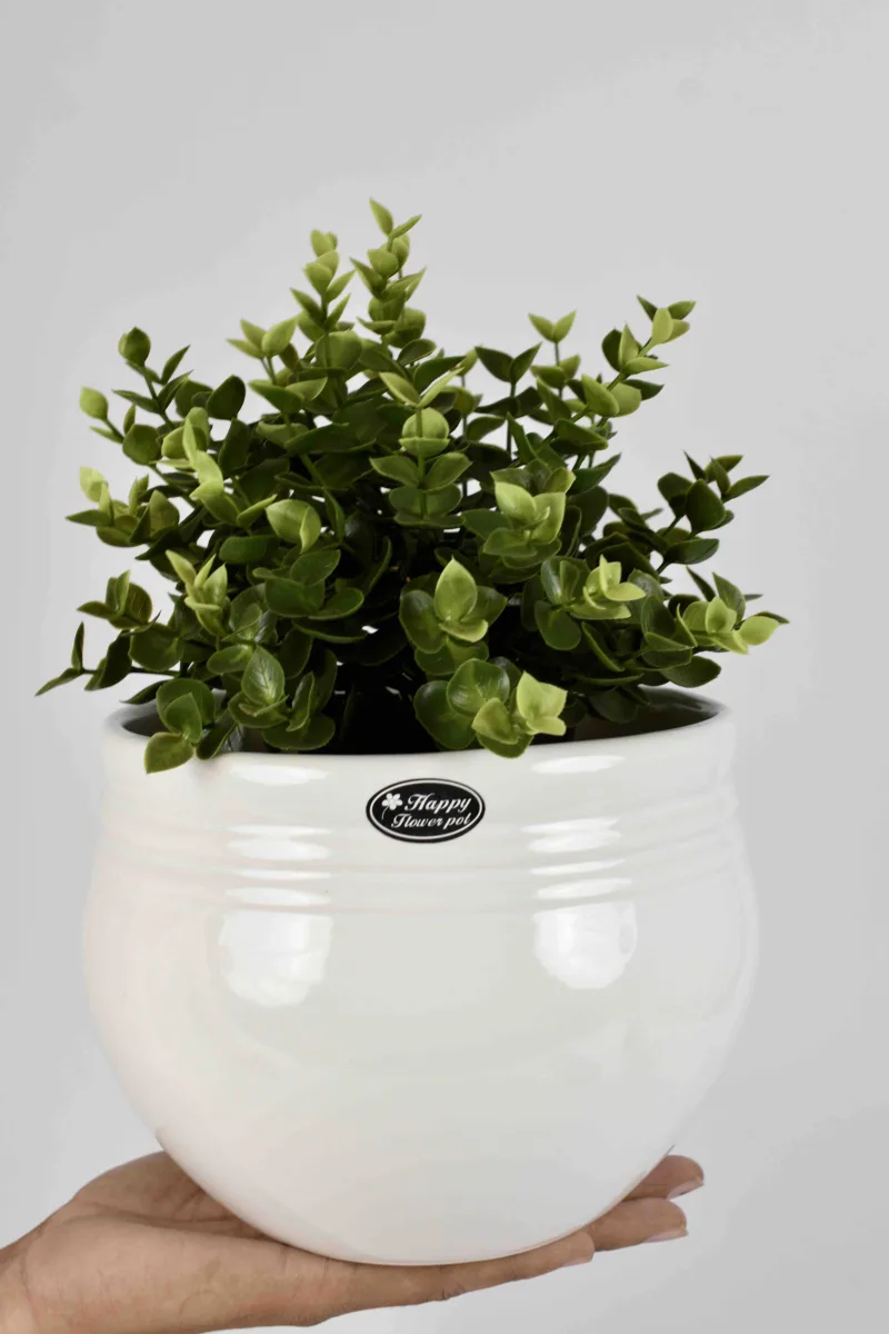 Classic Ceramic Planter — 6" Dia × 5" Height — Primary View