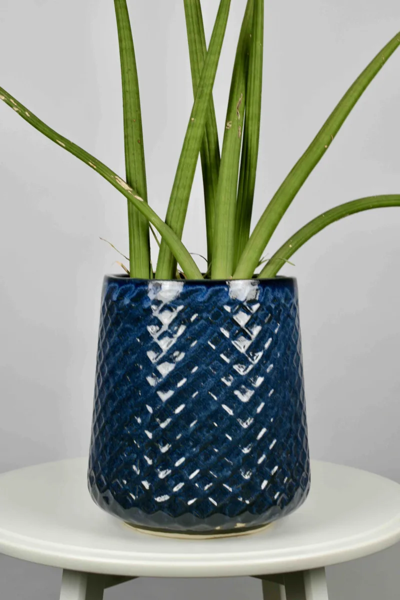 Classic Ceramic Planter — 6" Dia × 4" Height — Primary View