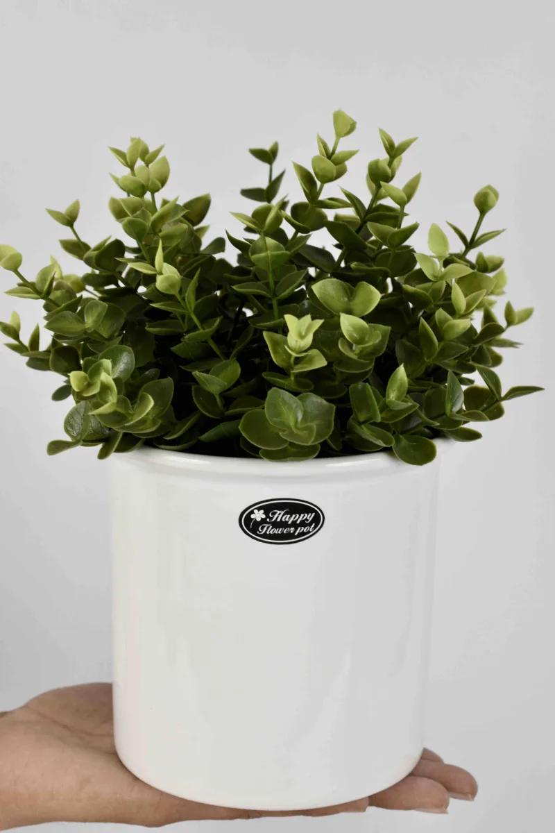 Classic Ceramic Planter — 6" Dia × 5" Height — Primary View