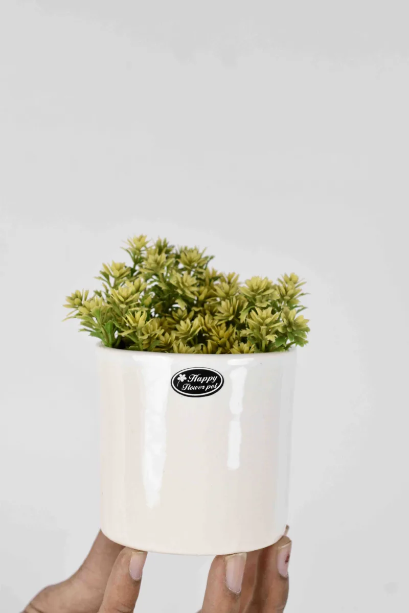 Classic Ceramic Planter — 4" Dia × 3.5" Height — Primary View
