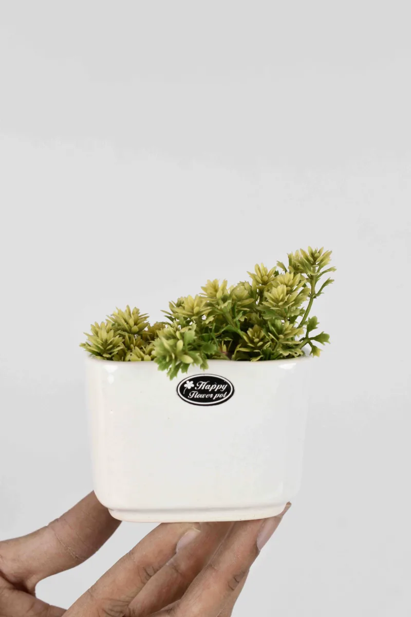 Classic Ceramic Planter — 10.5" Dia × 9.5" Height — Primary View