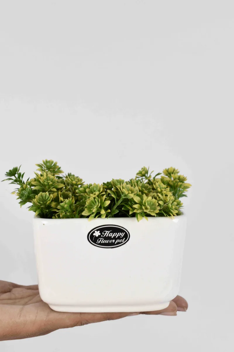 Classic Ceramic Planter — 4.5" Dia × 4" Height — Primary View