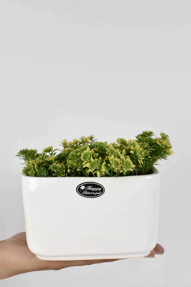 Classic Ceramic Planter — 7" Dia × 6" Height — Primary View