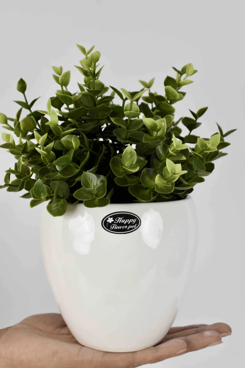 Classic Ceramic Planter — 7" Dia × 6" Height — Primary View