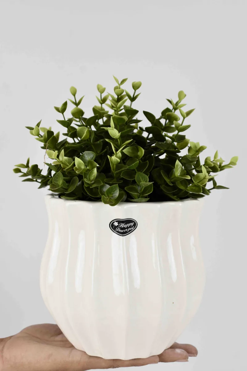 Classic Ceramic Planter — 4.5" Dia × 4" Height — Primary View