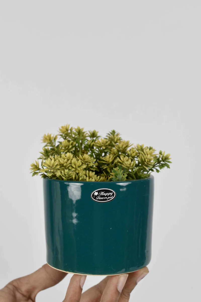 Classic Ceramic Planter — 6" Dia × 5" Height — Primary View