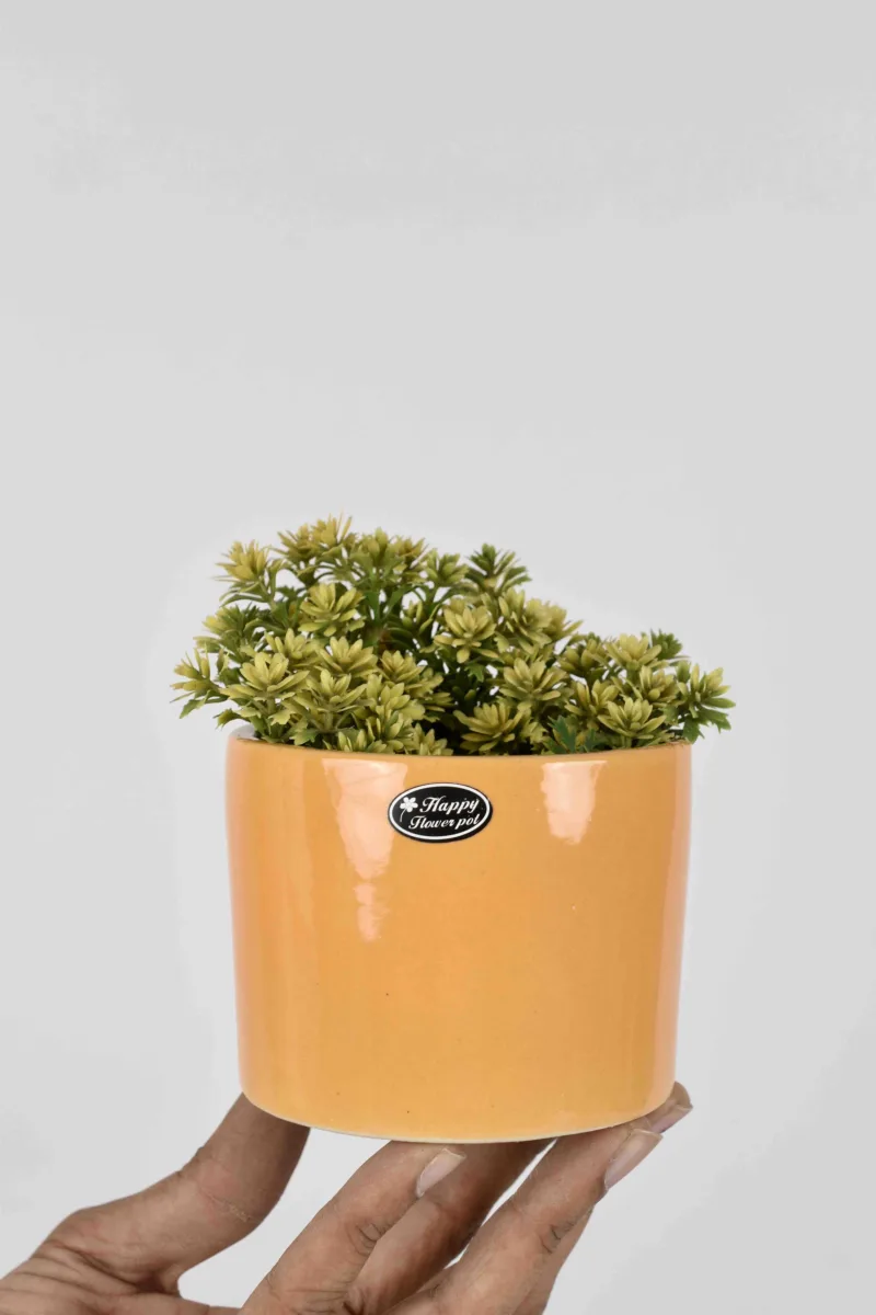 Classic Ceramic Planter — 4.5" Dia × 4" Height — Primary View