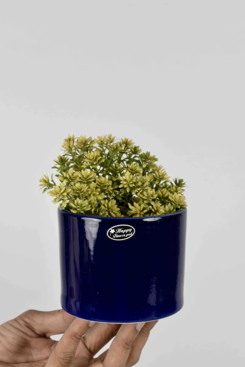 Classic Ceramic Planter — 6" Dia × 5" Height — Primary View