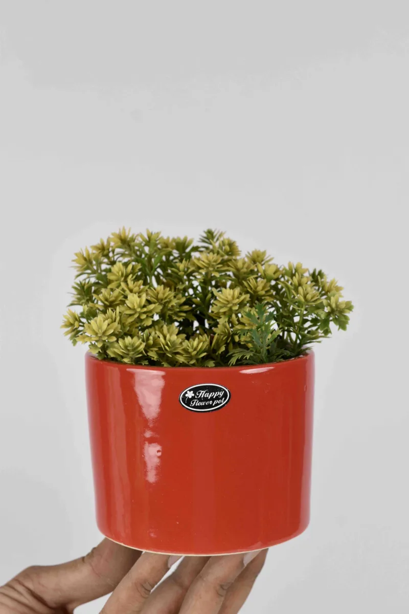 Classic Ceramic Planter Set of 2 (2" Dia) — Primary View