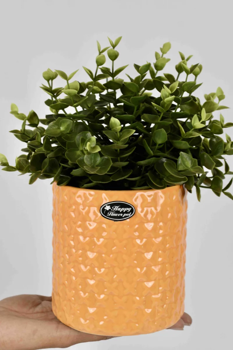 Classic Ceramic Planter — 4" Dia × 4" Height — Primary View
