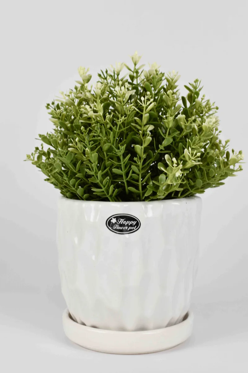 Classic Ceramic Planter — 4.5" Dia × 4.5" Height — Primary View