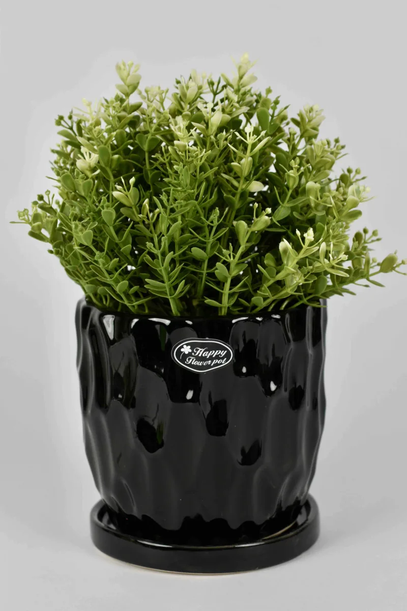 Classic Ceramic Planter Set of 2 (2" Dia) — Primary View