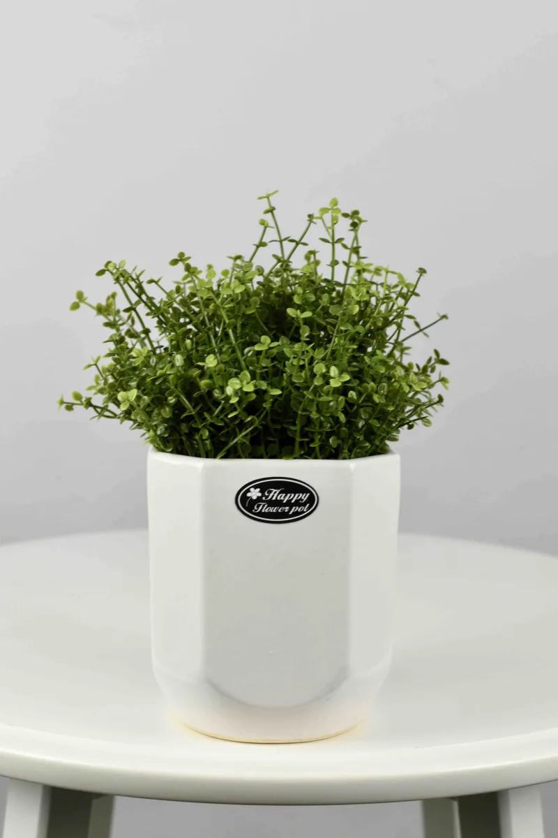 Classic Ceramic Planter Set of 2 (2" Dia) — Primary View