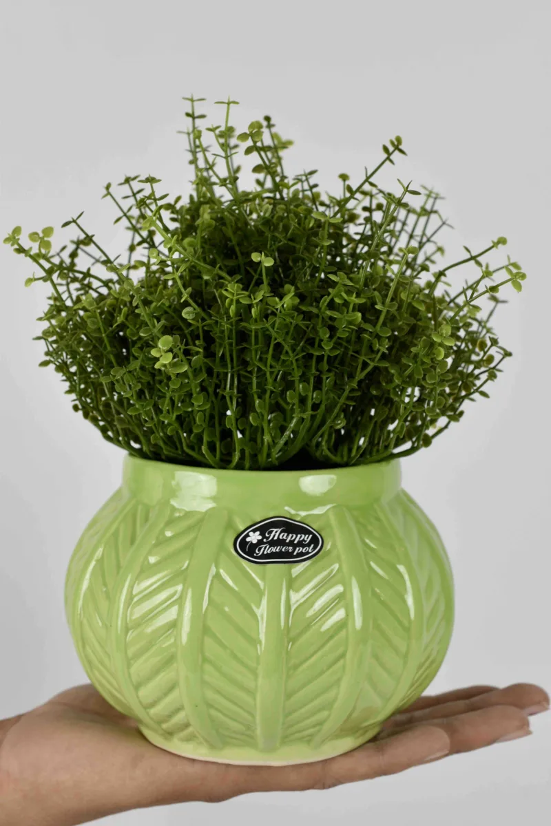 Classic Ceramic Planter Set of 2 (2" Dia) — Primary View