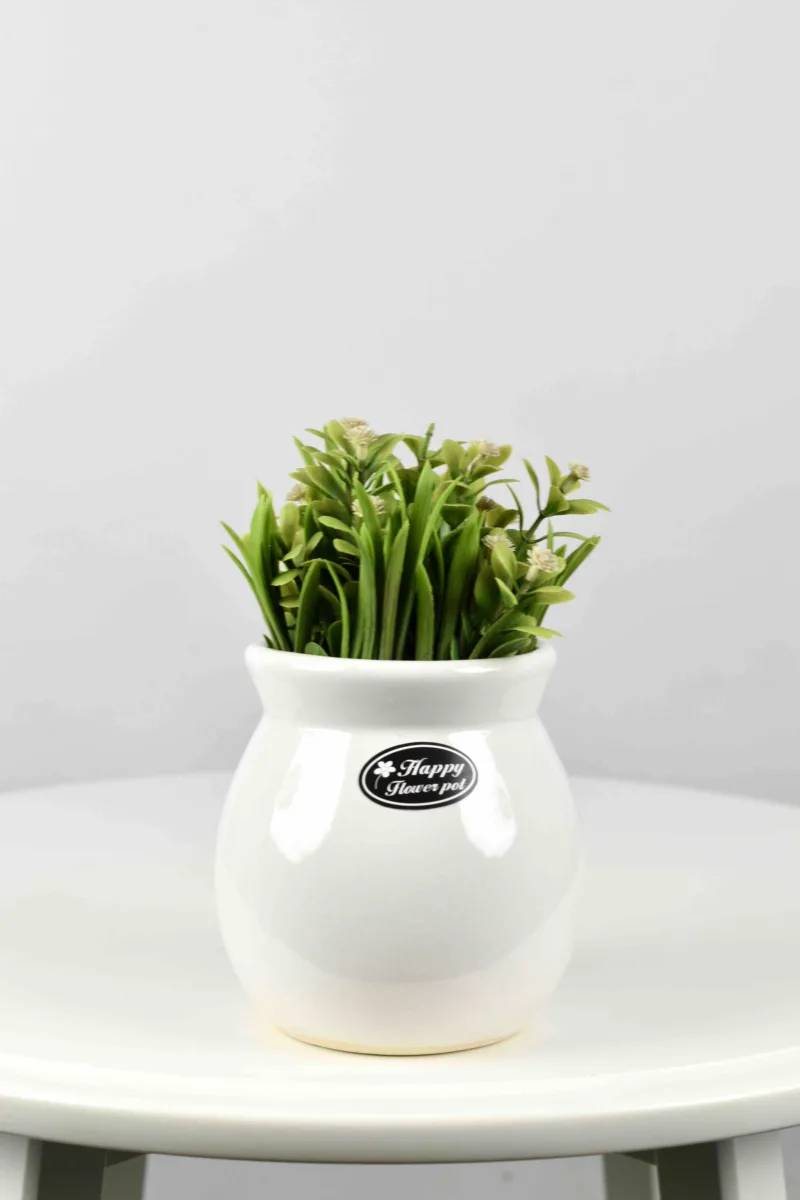 Classic Ceramic Planter Set of 2 (2" Dia) — Primary View