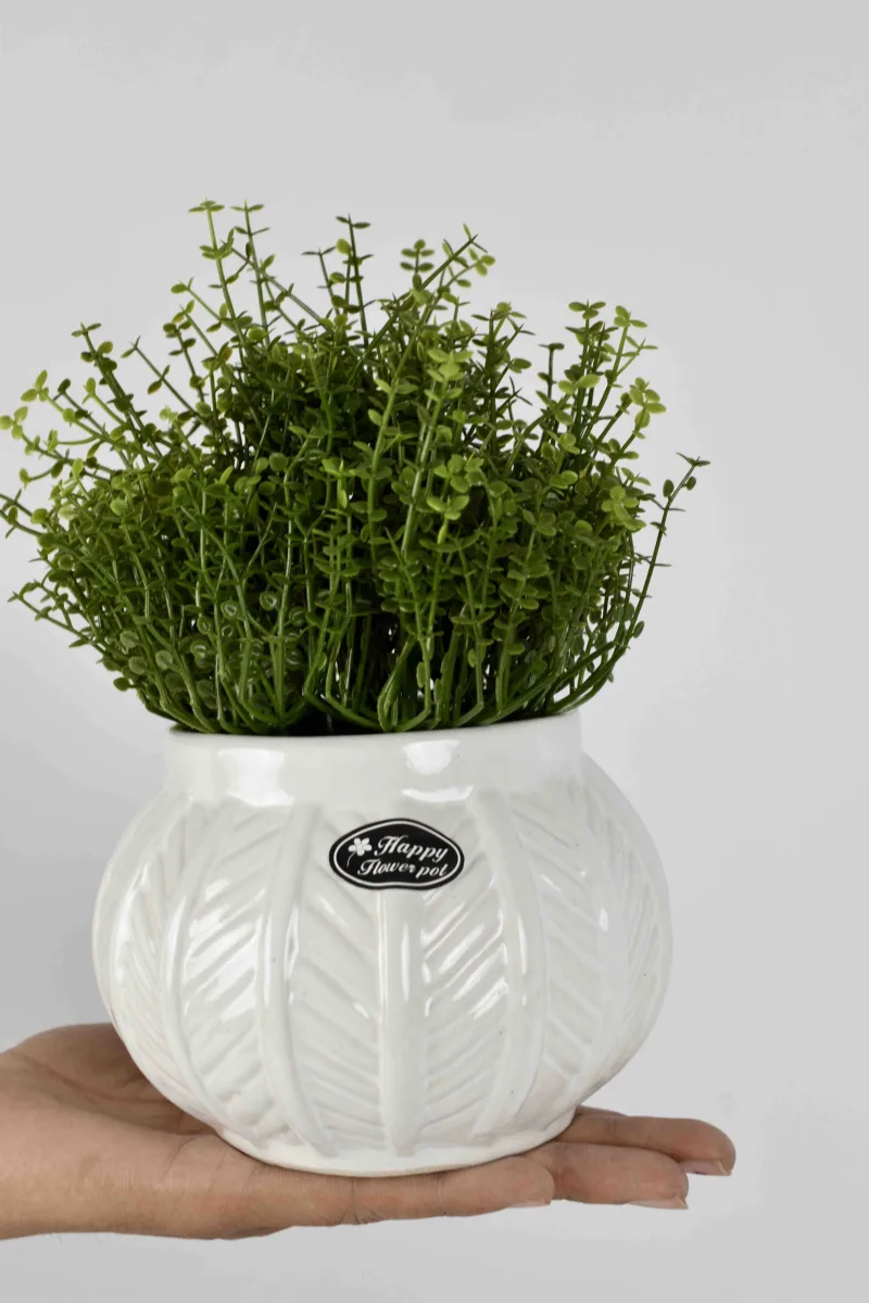 Classic Ceramic Planter Set of 2 (2" Dia) — Primary View