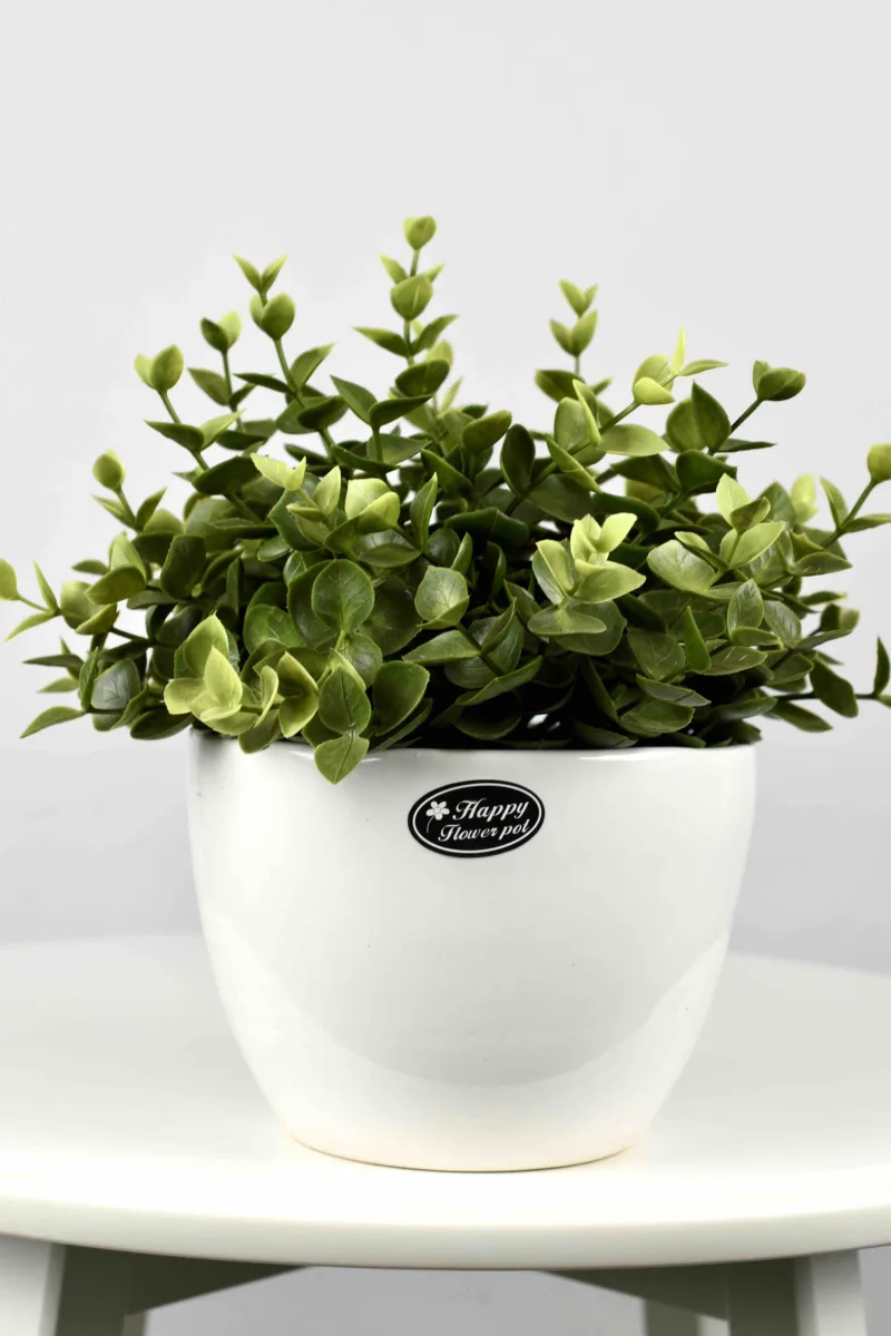 Classic Ceramic Planter — 9" Dia × 7" Height — Primary View