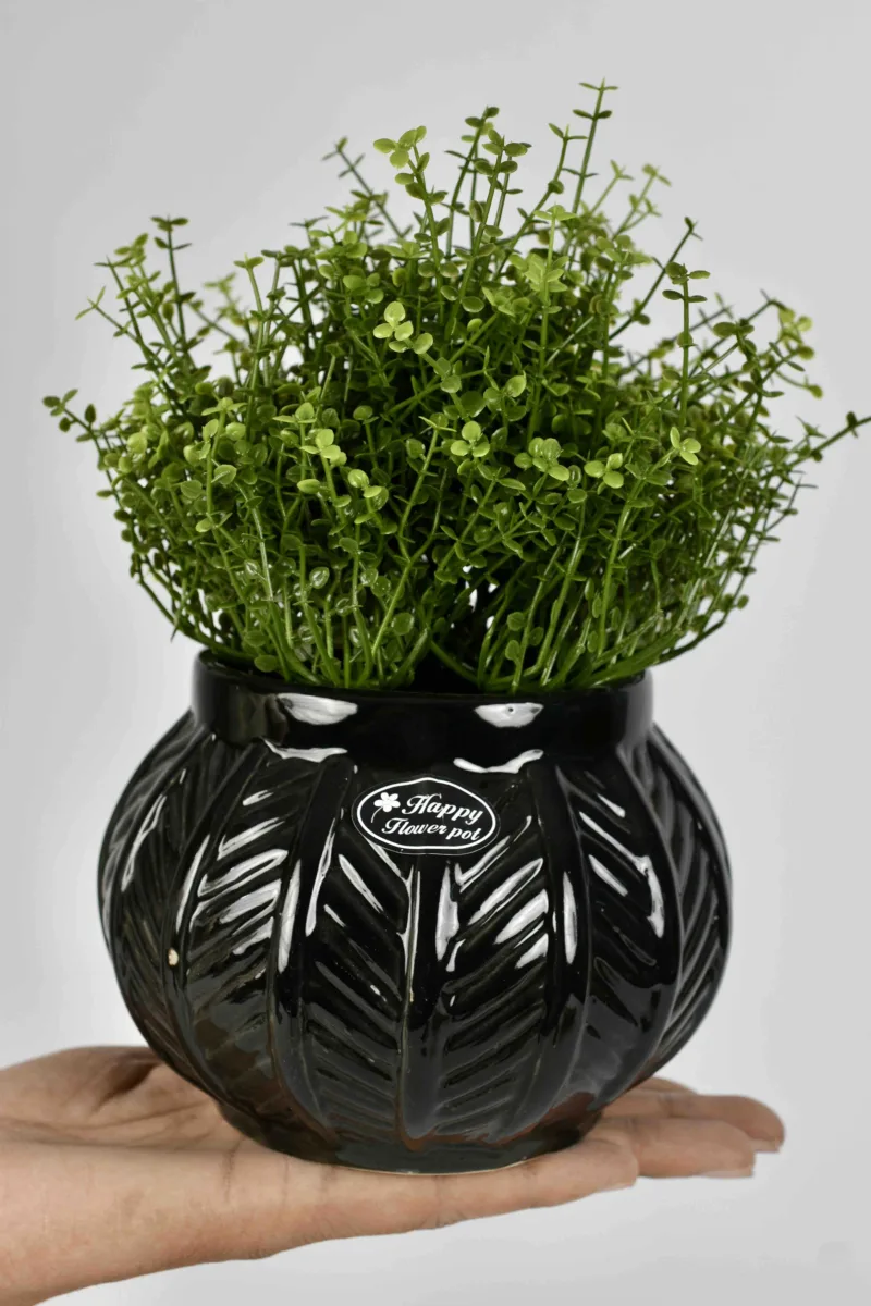 Classic Ceramic Planter Set of 3 (3" Dia) — Primary View