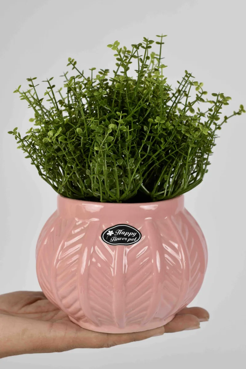 Classic Ceramic Planter — 9" Dia × 7" Height — Primary View