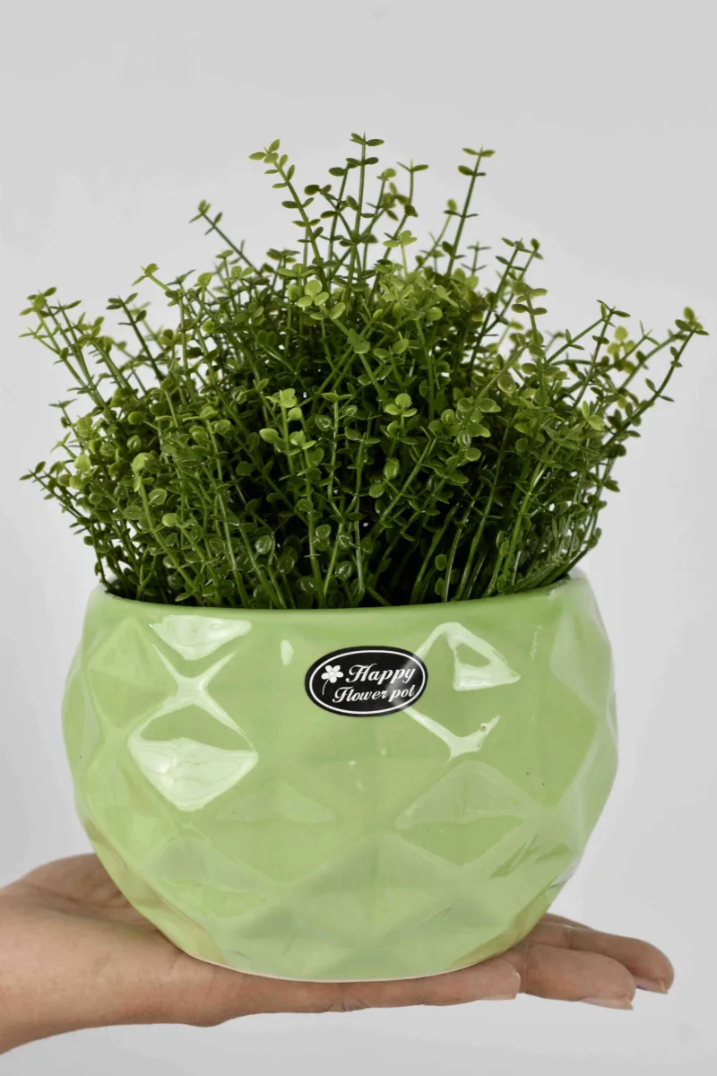 Classic Ceramic Planter Set of 3 (3" Dia) — Primary View
