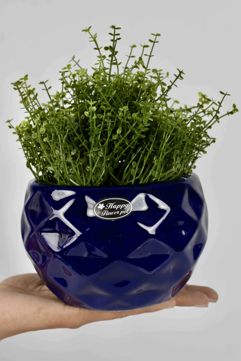 Classic Ceramic Planter Set of 3 (3" Dia) — Primary View