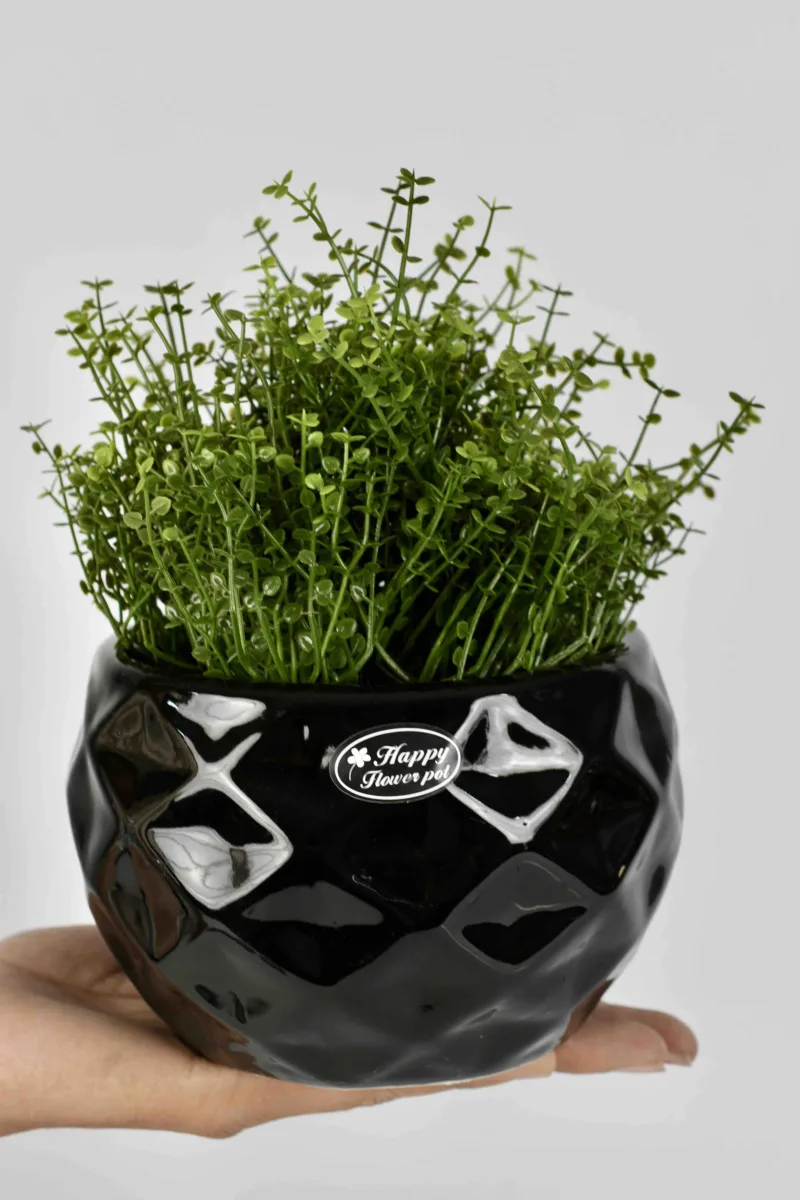 Classic Ceramic Planter — 9" Dia × 7" Height — Primary View