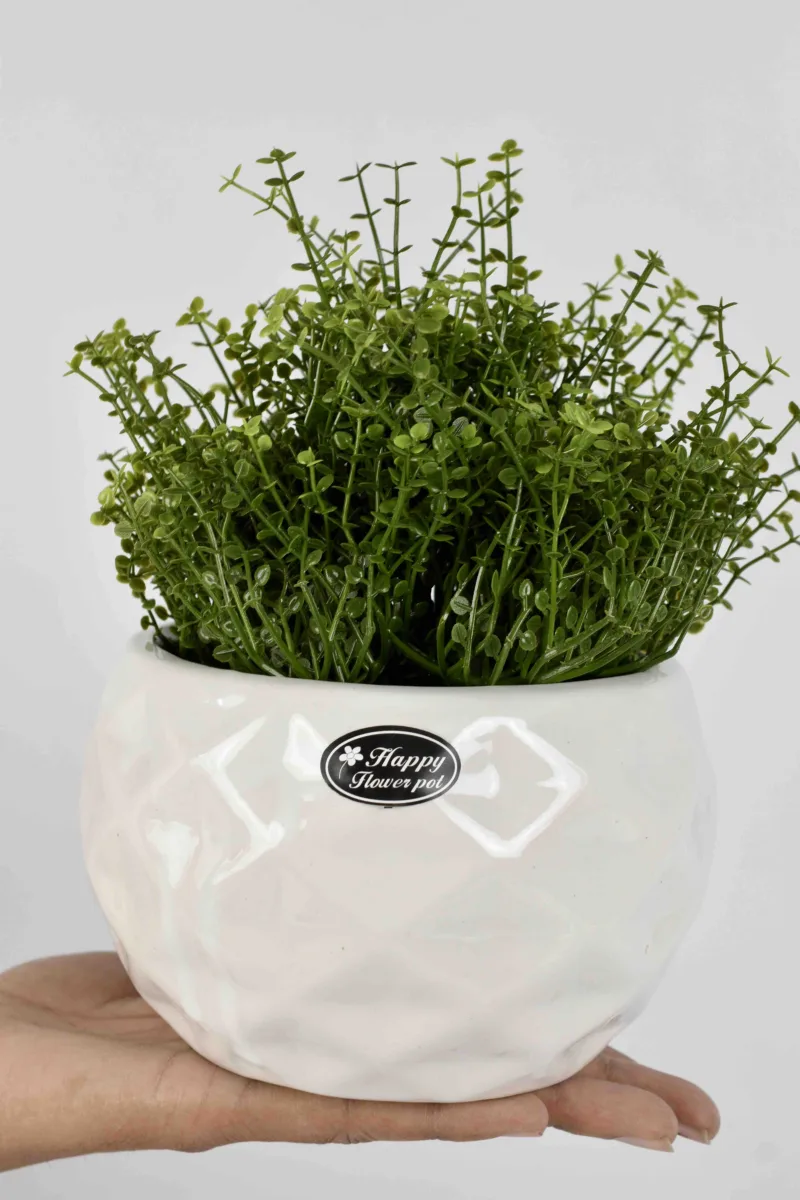 Classic Ceramic Planter — 6" Dia × 5.5" Height — Primary View