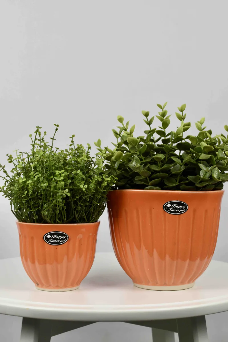 Classic Ceramic Planter — 5.5" Dia × 5" Height — Primary View