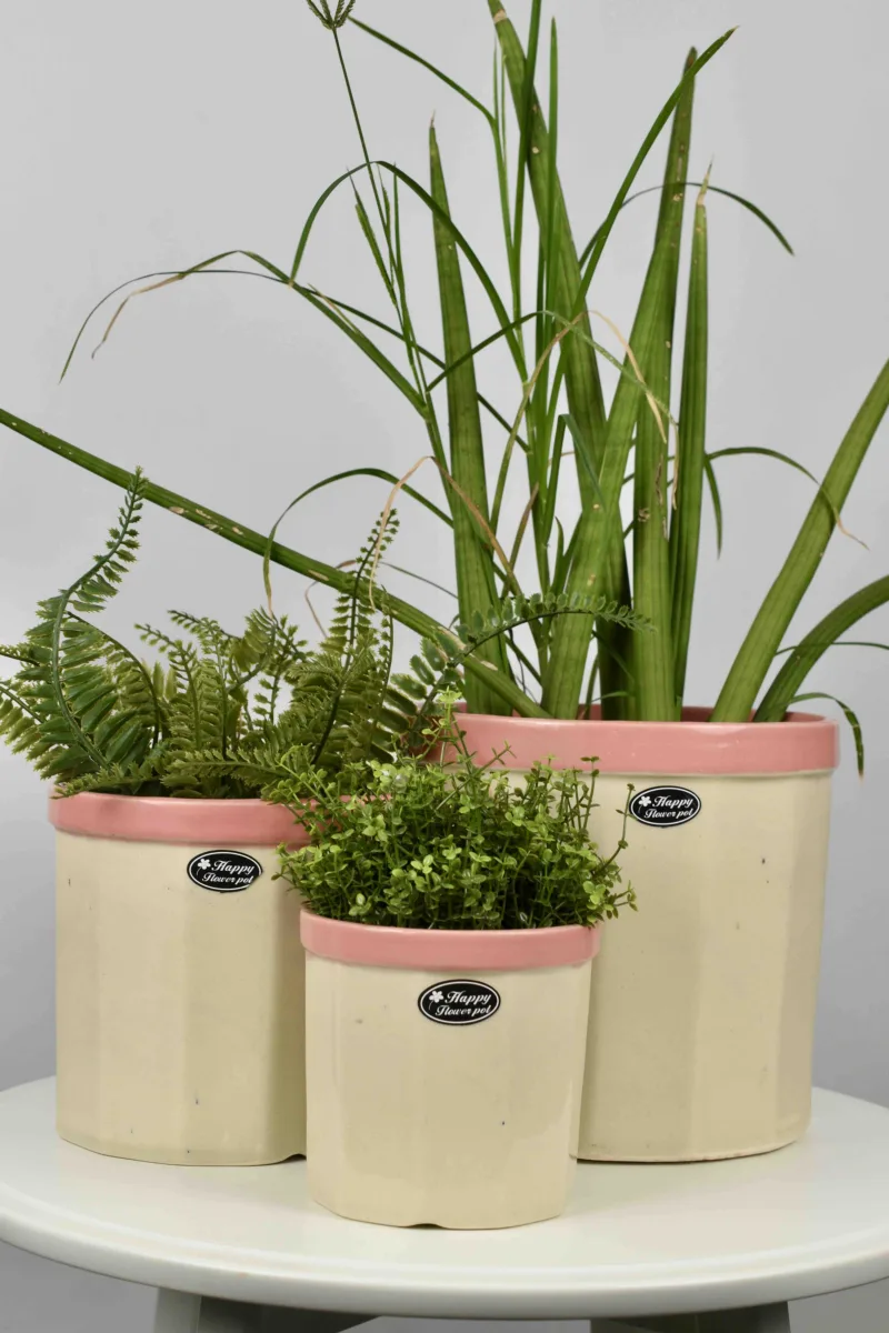 Classic Ceramic Planter — 5" Dia × 5.5" Height — Primary View