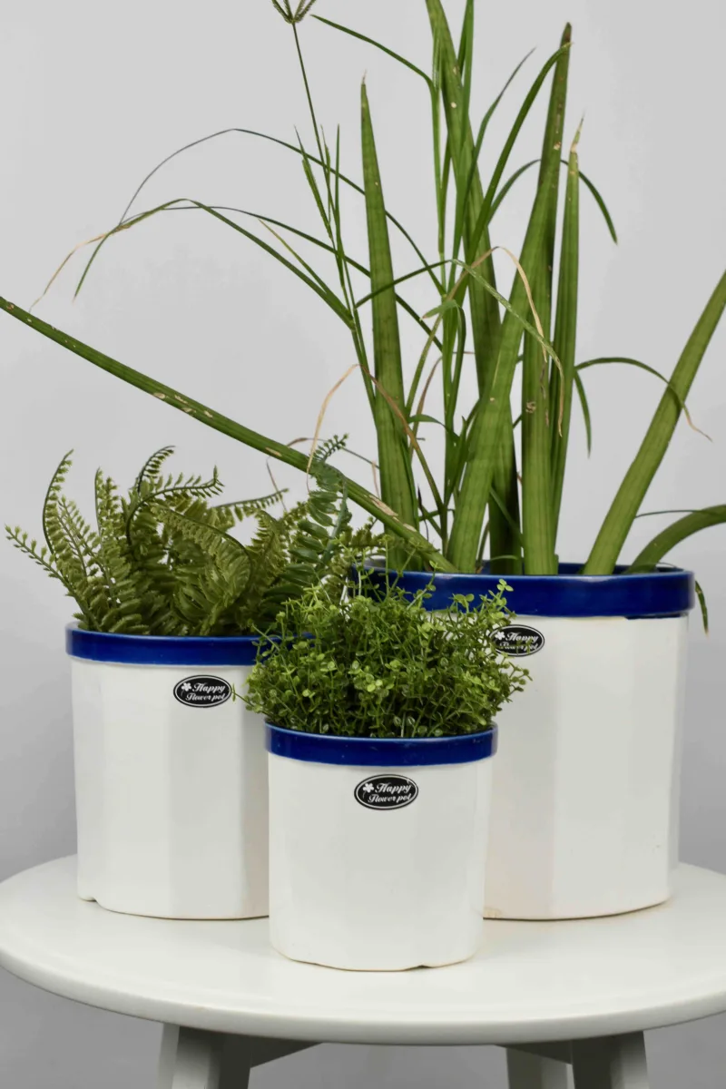 Classic Ceramic Planter — 5.5" Dia × 5" Height — Primary View