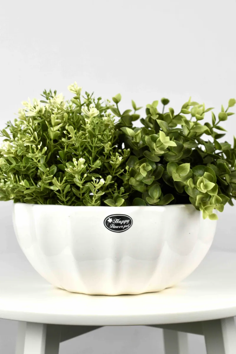 Classic Ceramic Planter — 5" Dia × 4.5" Height — Primary View
