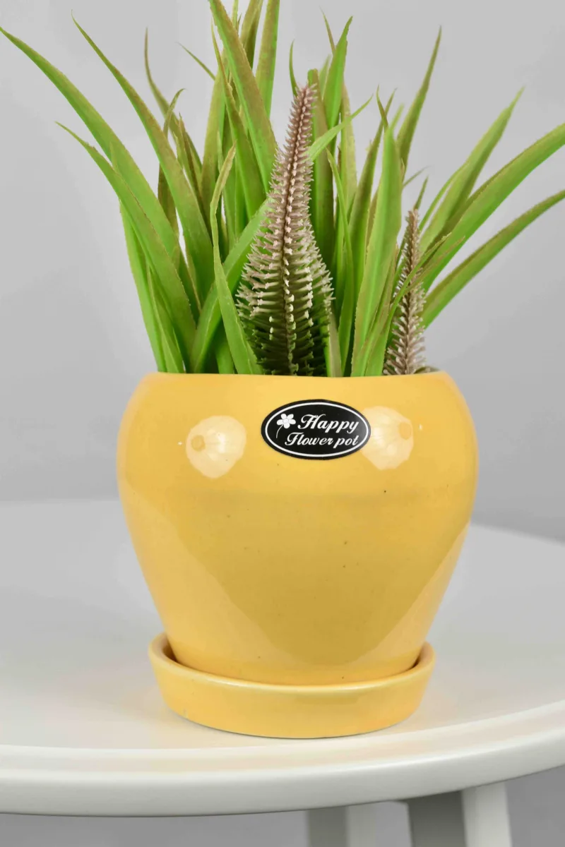 Classic Ceramic Planter — 16" Dia × 3.5" Height — Primary View