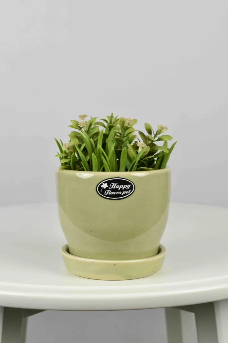 Classic Ceramic Planter — 23" Dia × 4.5" Height — Primary View