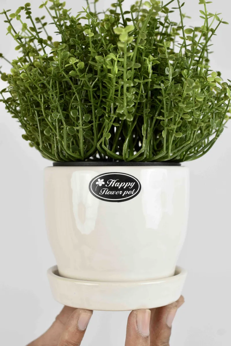 Classic Ceramic Planter — 4" Dia × 3" Height — Primary View