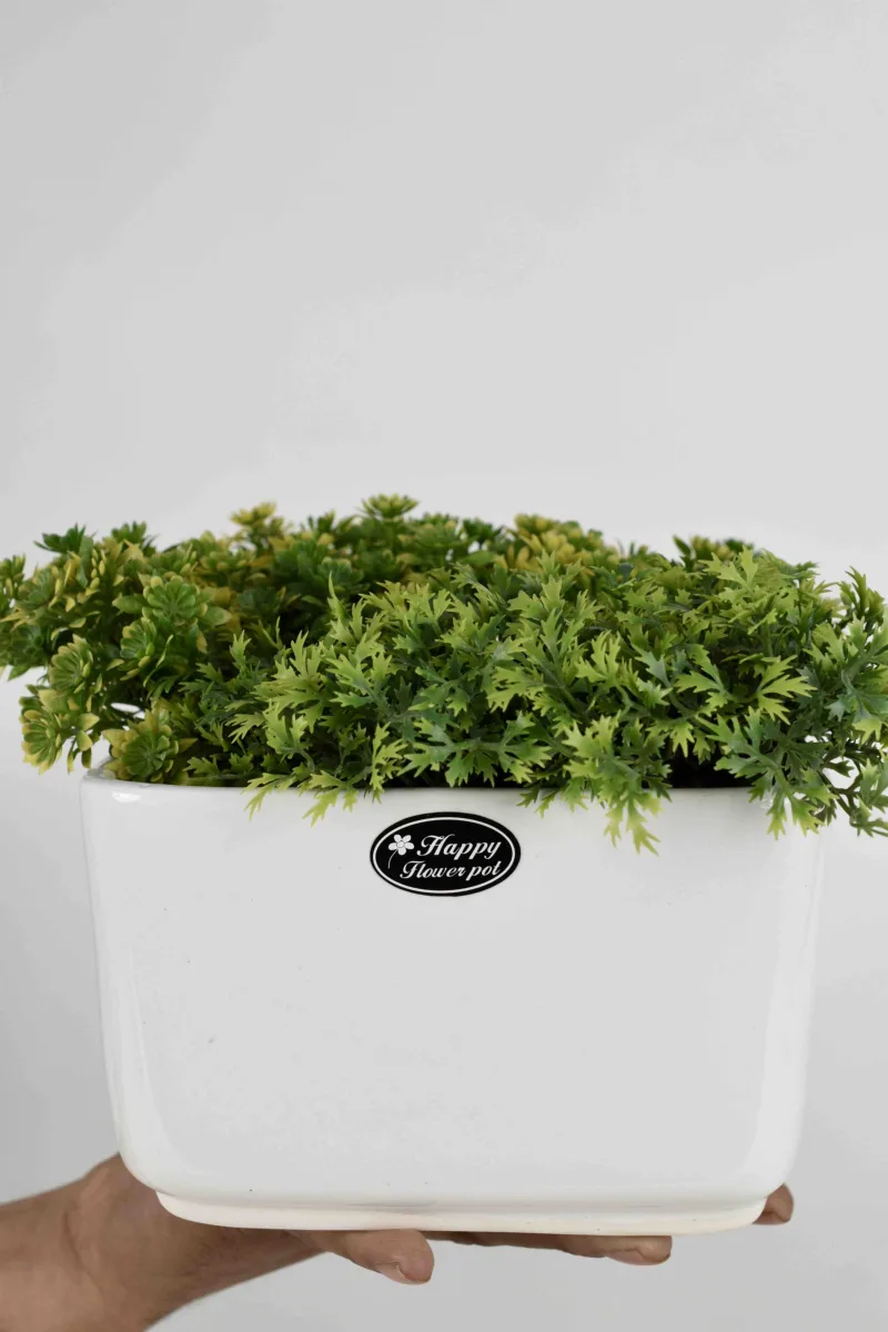 Classic Ceramic Planter — 6" Dia × 4.5" Height — Primary View
