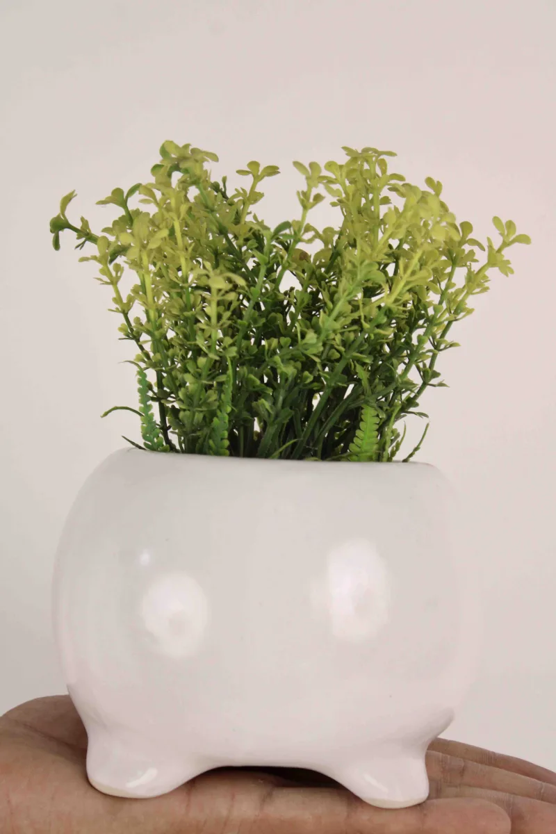 Classic Ceramic Planter — 6" Dia × 4.5" Height — Primary View