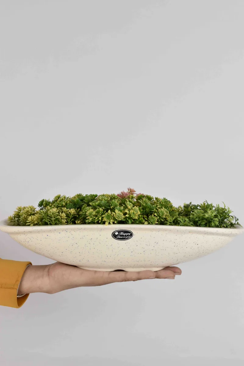 Classic Ceramic Planter — 6" Dia × 4.5" Height — Primary View