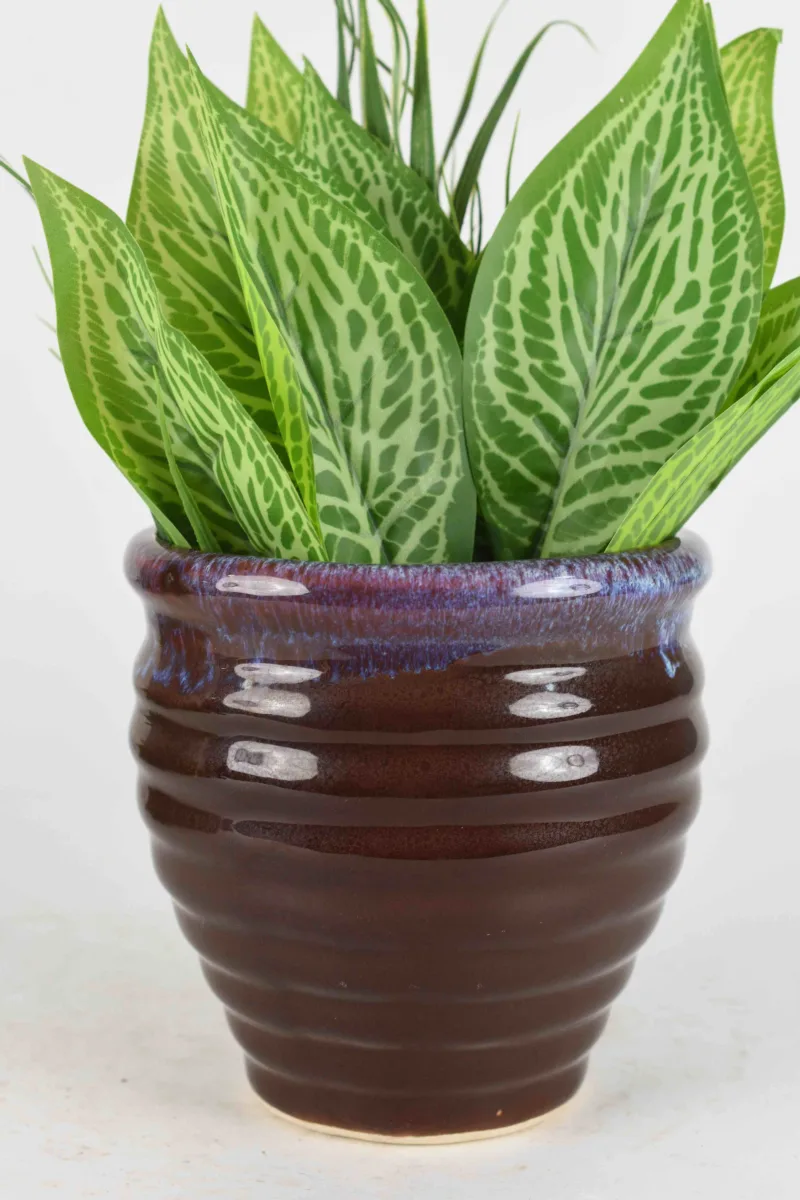 Classic Ceramic Planter — 6" Dia × 4.5" Height — Primary View