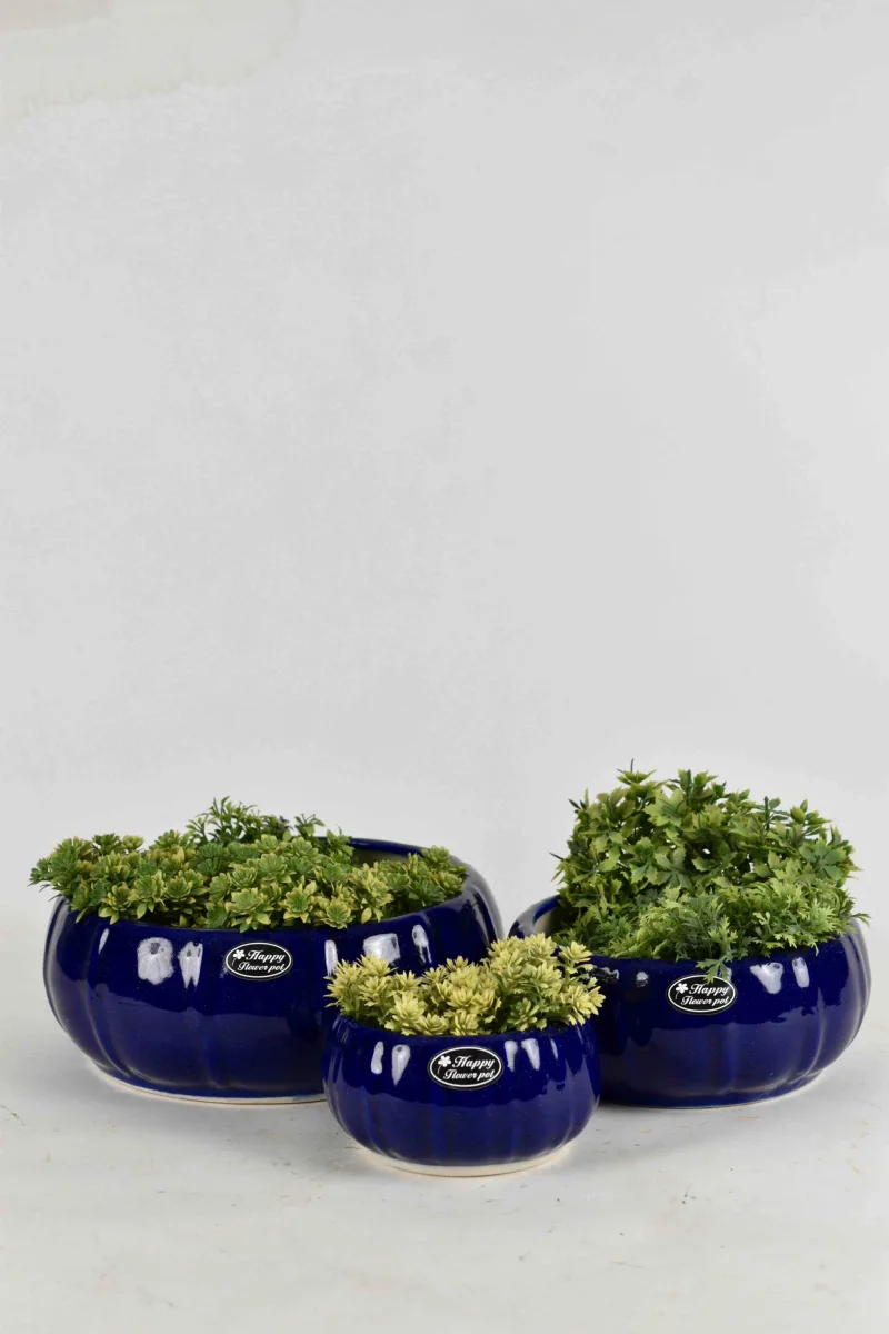 Classic Ceramic Planter Set of 2 (2" Dia) — Primary View