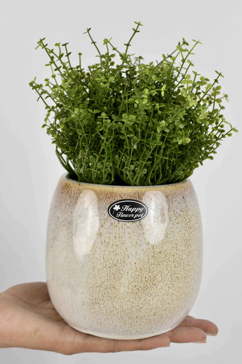 Classic Ceramic Planter — 9" Dia × 4" Height — Primary View