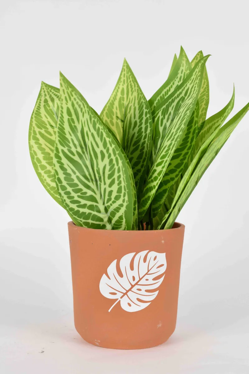 Classic Ceramic Planter — 9" Dia × 4" Height — Primary View