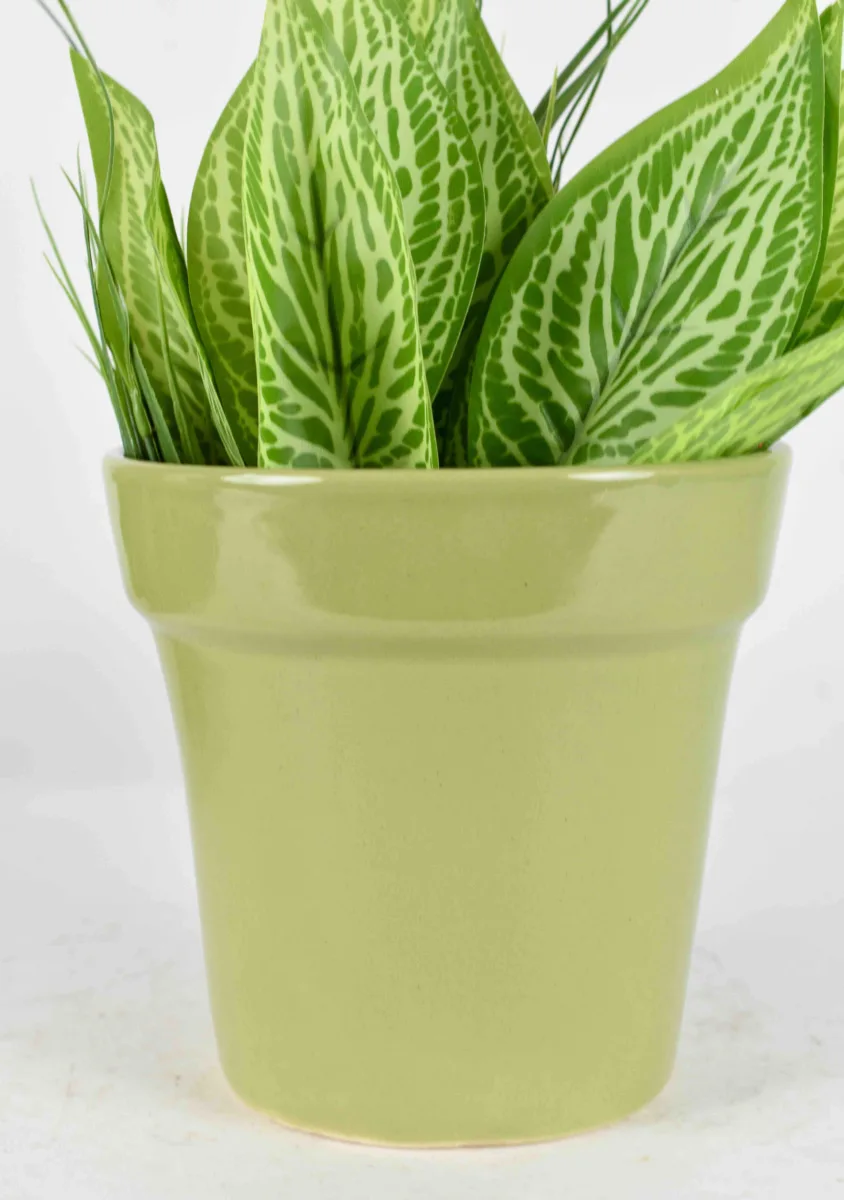 Classic Ceramic Planter — 6.5" Dia × 5.5" Height — Primary View