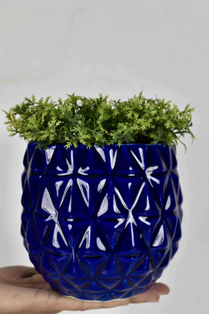 Classic Ceramic Planter — 6.5" Dia × 5.5" Height — Primary View