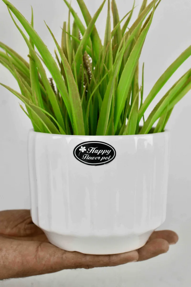 Classic Ceramic Planter — 4.5" Dia × 4.5" Height — Primary View