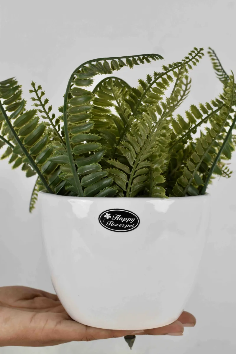 Classic Ceramic Planter — 4.5" Dia × 4.5" Height — Primary View
