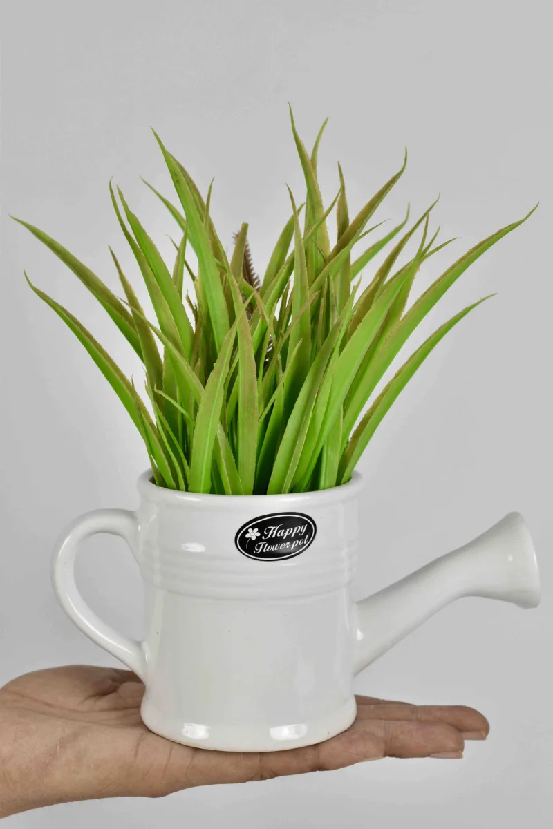 Classic Ceramic Planter — 4.5" Dia × 4.5" Height — Primary View