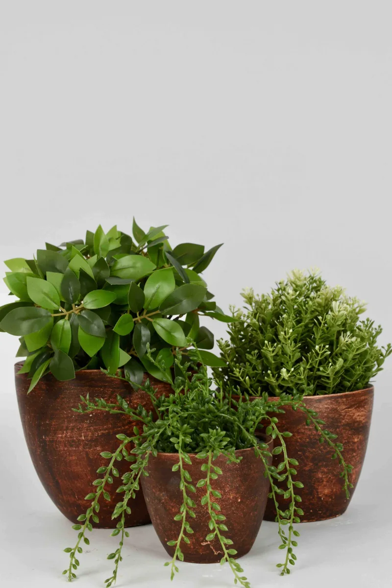 Classic Ceramic Planter — 6" Dia × 4" Height — Primary View