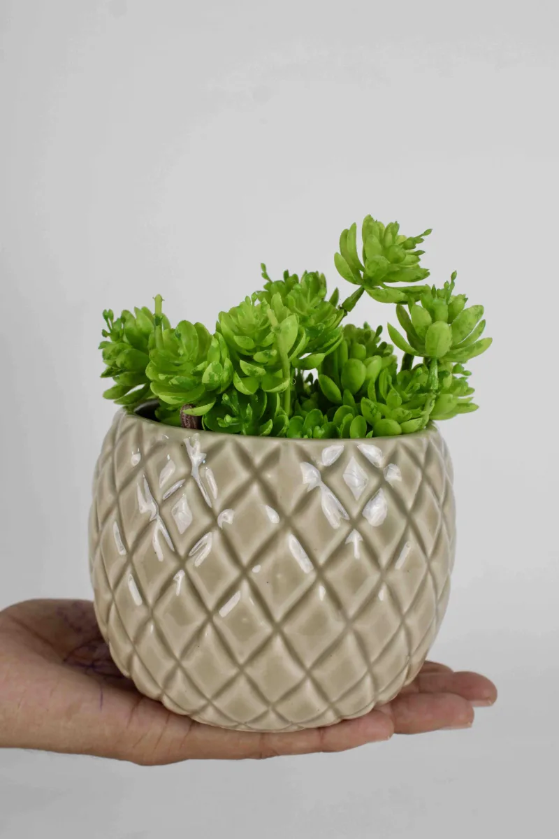 Classic Ceramic Planter — 10" Dia × 4" Height — Primary View