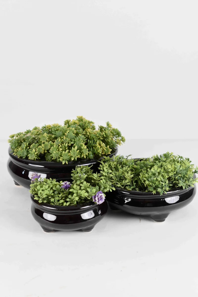 Classic Ceramic Planter — 3.5" Dia × 3.5" Height — Primary View